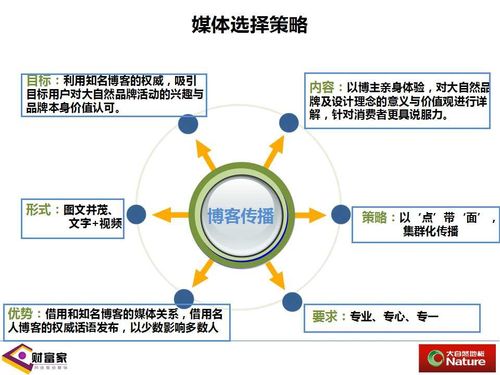 张斌互联网营销策划