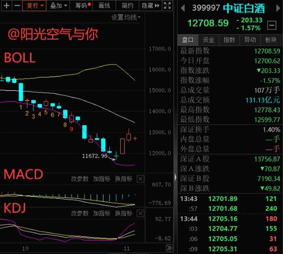 招商中证白酒指数基金